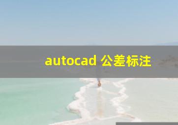 autocad 公差标注